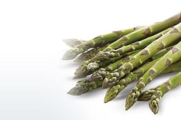 asparagus_14-870x350